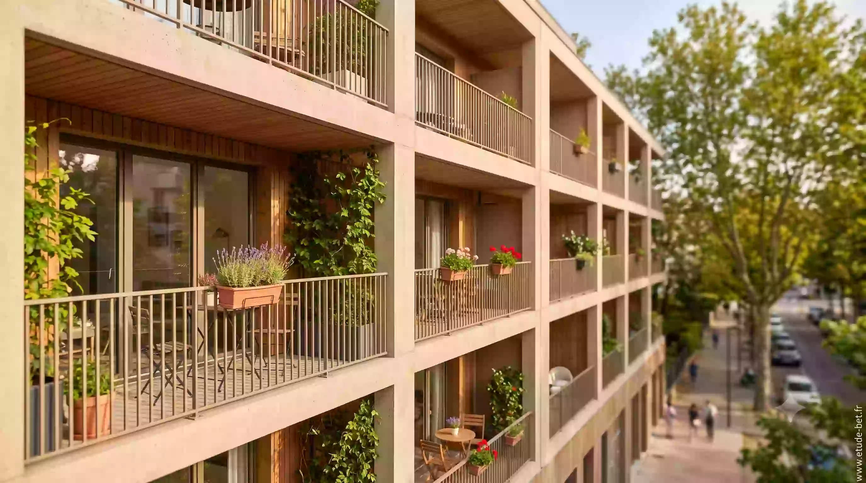 Façade de logements collectifs avec balcons et loggias valorisés en re2020
