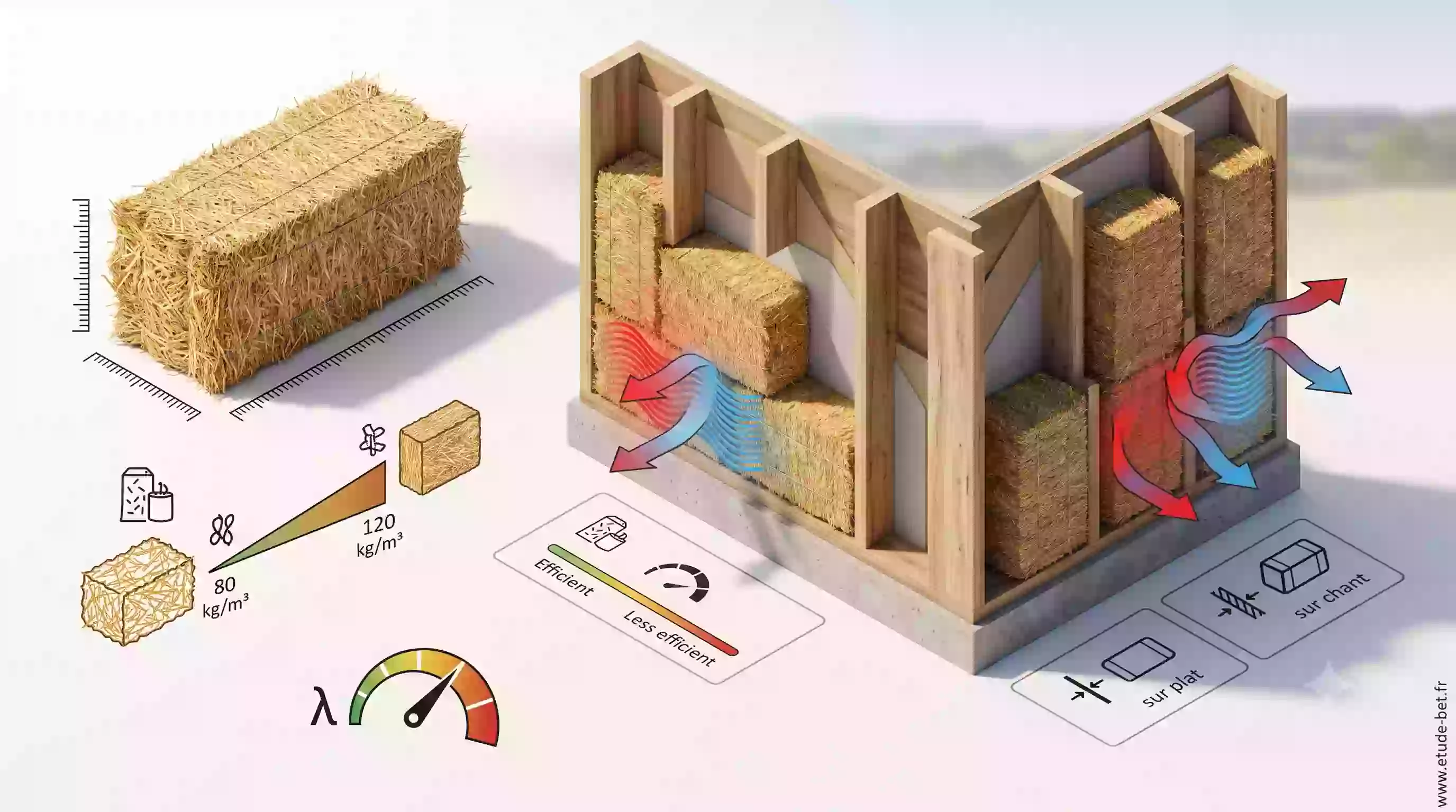 Dimensions et densité d'une botte de paille standard utilisée en isolation re2020